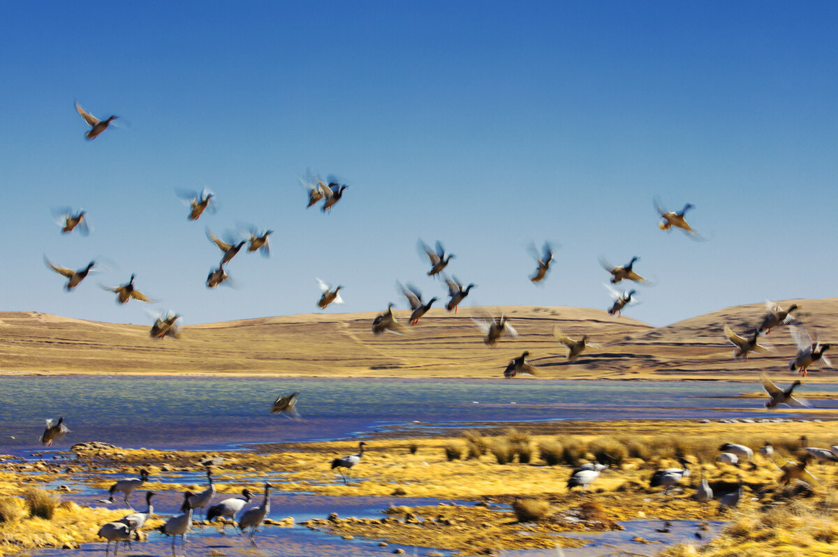 国家人文地理之会泽108个绝美地标,会泽地标建筑