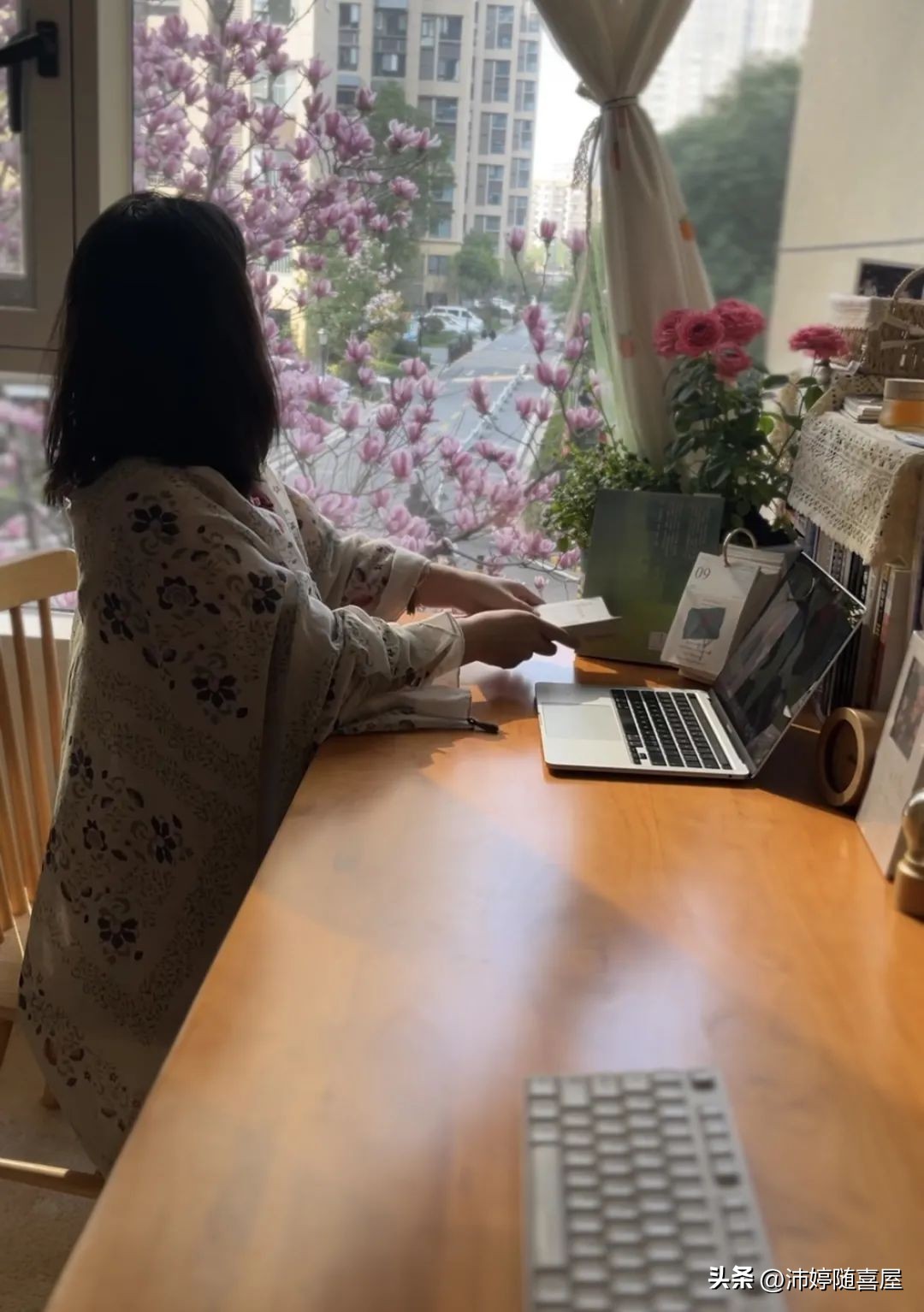 一天4个商单找上门！8300元稿费，都来自这个平台｜写作变现渠道