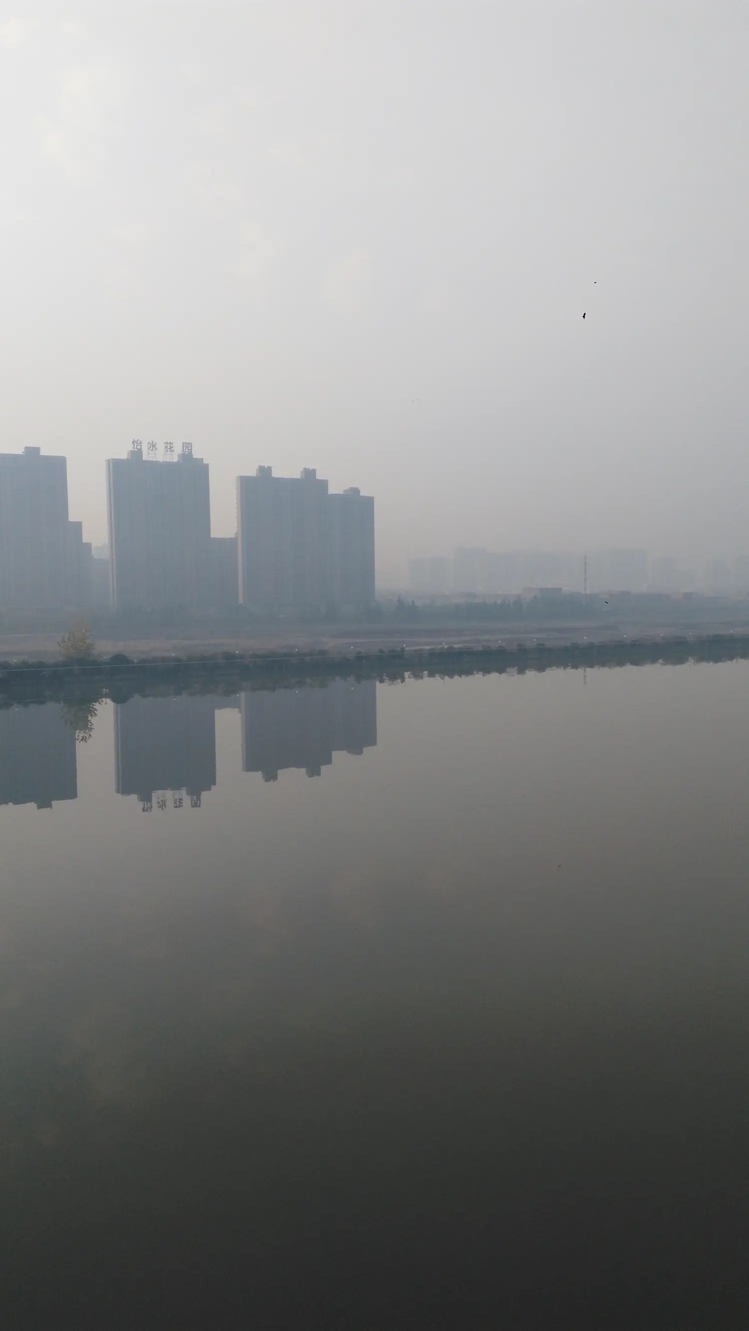 风雨廊桥合集,风雨廊桥动画片全集