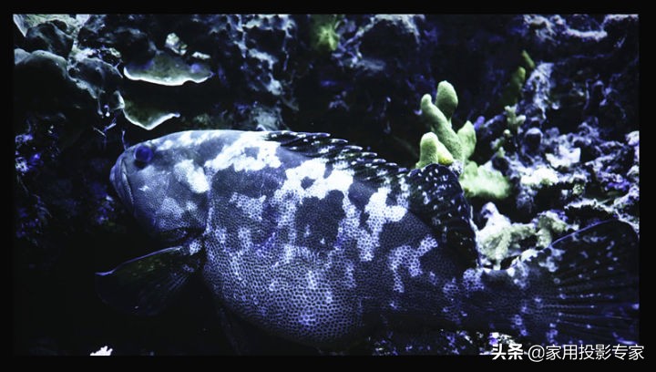 优派q20pro,优派q20和q20pro区别