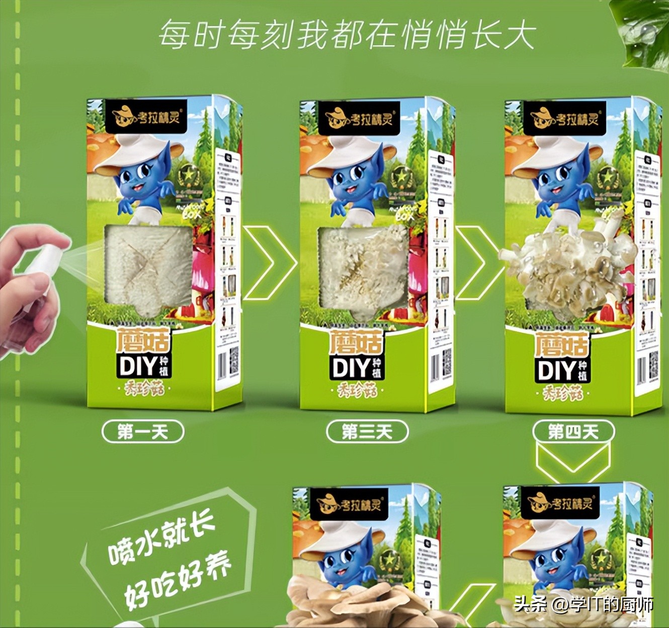 农村创业最大难题揭秘：销路问题如何解决？蘑菇盲盒带来销售奇迹