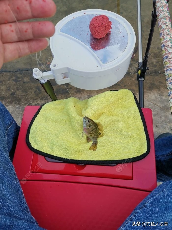 趁休假再来水库，终获大鱼一枚