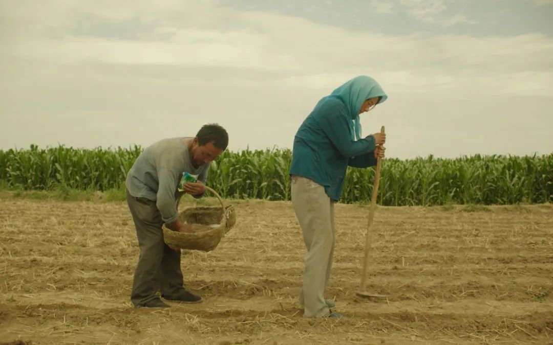 58天，我们见证了一部冷门片的逆袭