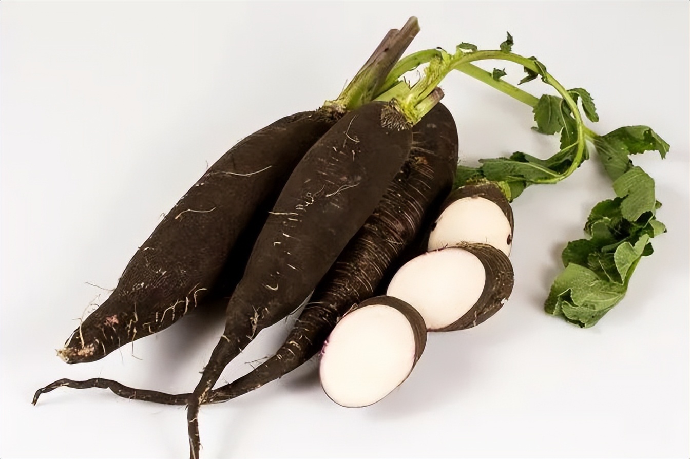 萝卜的这个小知识你知道了吗 (关于萝卜的百科知识有哪些)