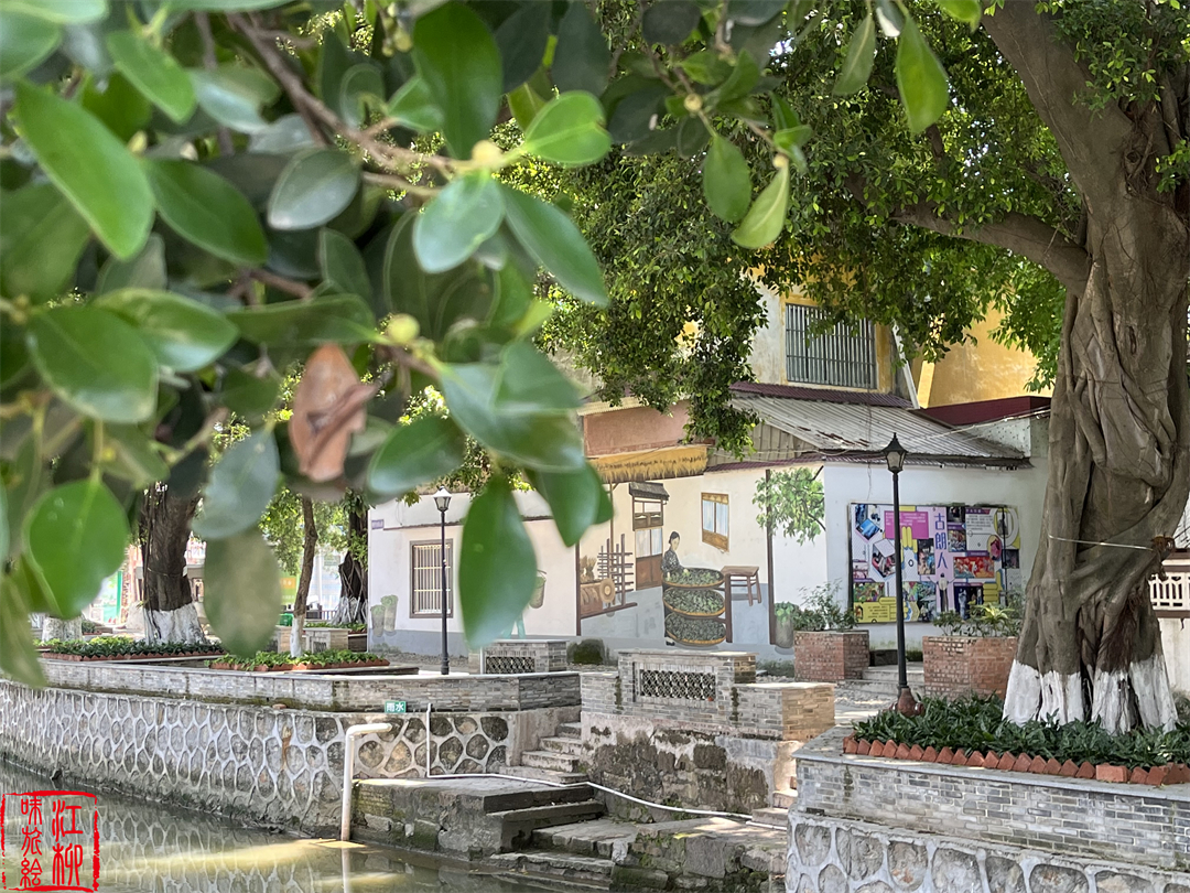 古村探寻｜广东佛山顺德一日打卡杏坛镇两个岭南水乡