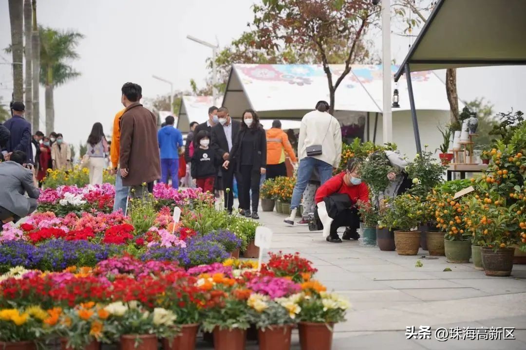 迎春花市亮灯仪式,珠海高新区迎春花市时间表