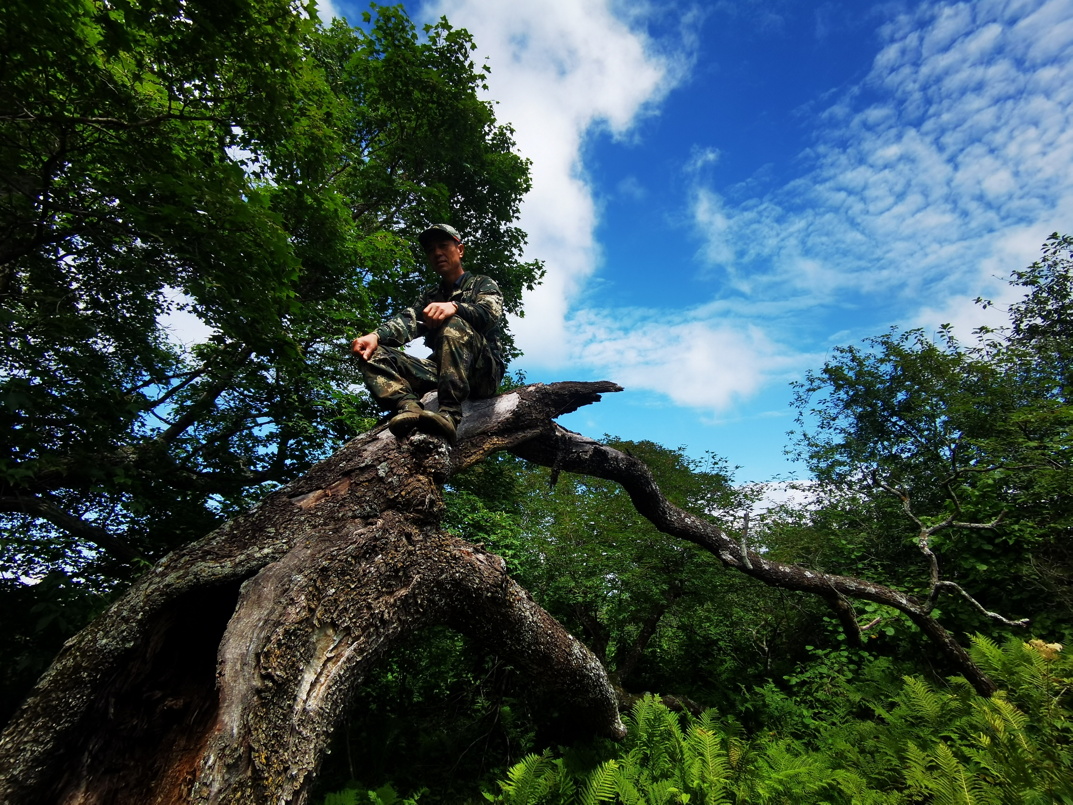 探秘摩艾石像,探秘摩迈尔洞穴