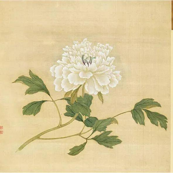 蒋廷锡牡丹画法,蒋廷锡百种牡丹画法