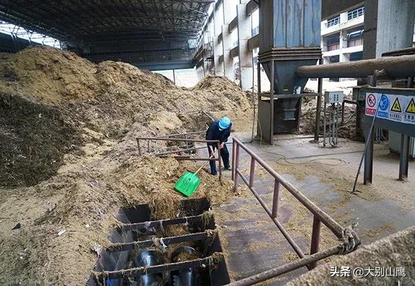 秸秆不能焚烧怎么办,秸秆焚烧问题怎么解决