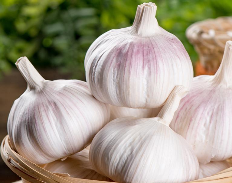 被蚊虫咬了一直反复痒如何处理,为什么被蚊虫咬了会红肿起泡