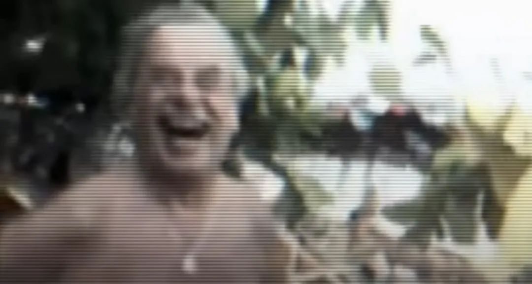 真实事件奥地利兽父囚女案,奥地利兽父囚禁案结果