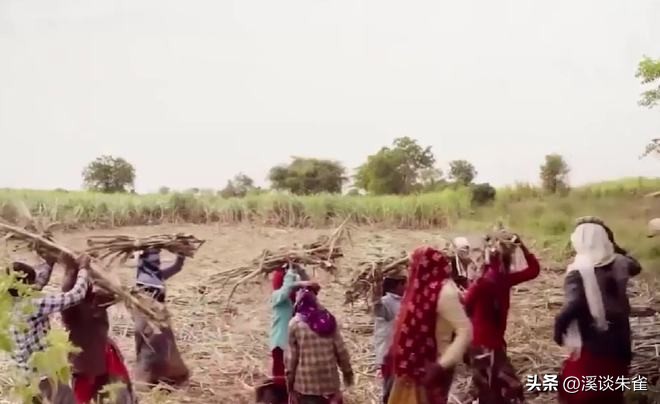 19年记者收集一大证据，揭露印度女性为满足老板，全部被“阉割”