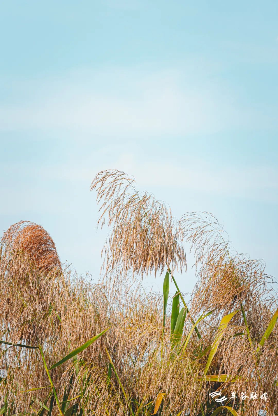 散步、慢跑、骑行……快来打卡车谷这些“高颜值”绿道