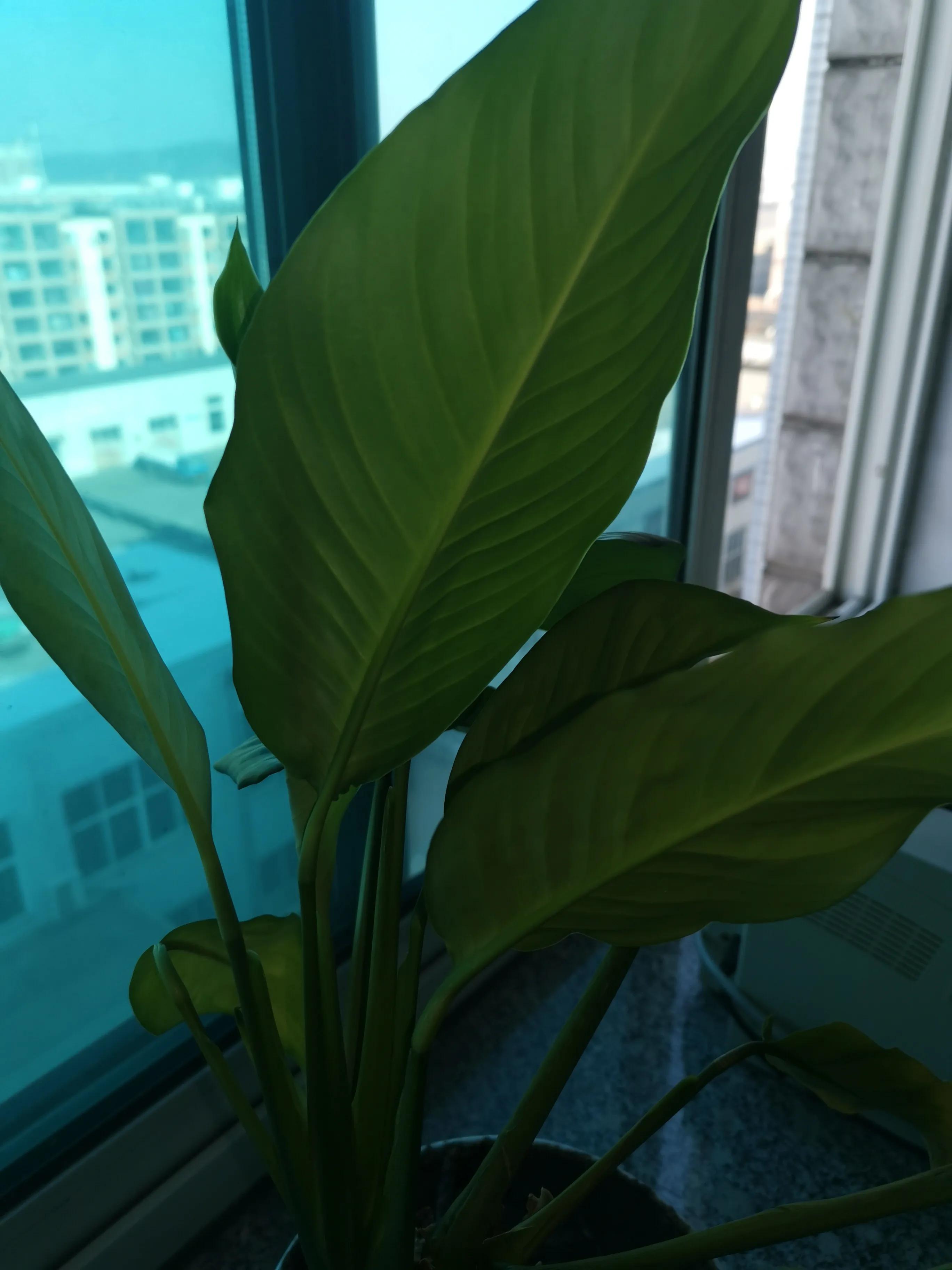 别人借钱不还怎么告,别人借钱不想借还不知道怎么回绝