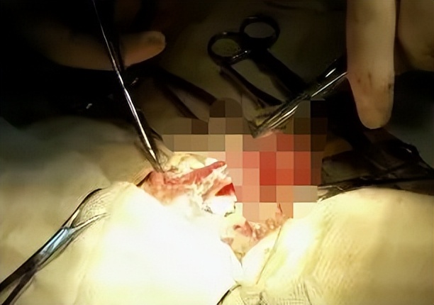 猫咪常见眼病的治疗方法,治疗猫咪常见疾病的几种药