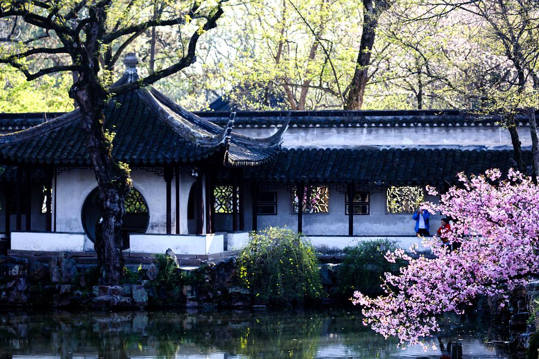 苏州旅游十大赏花景点,苏州赏花最佳景区排名