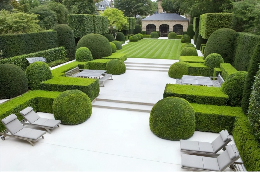 那些被我们忽略的风景,球球景观