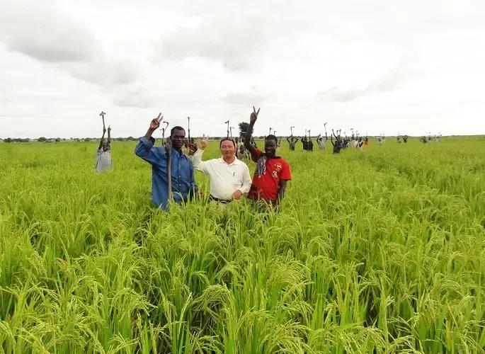 谁会成为非洲的第一个发达国家?