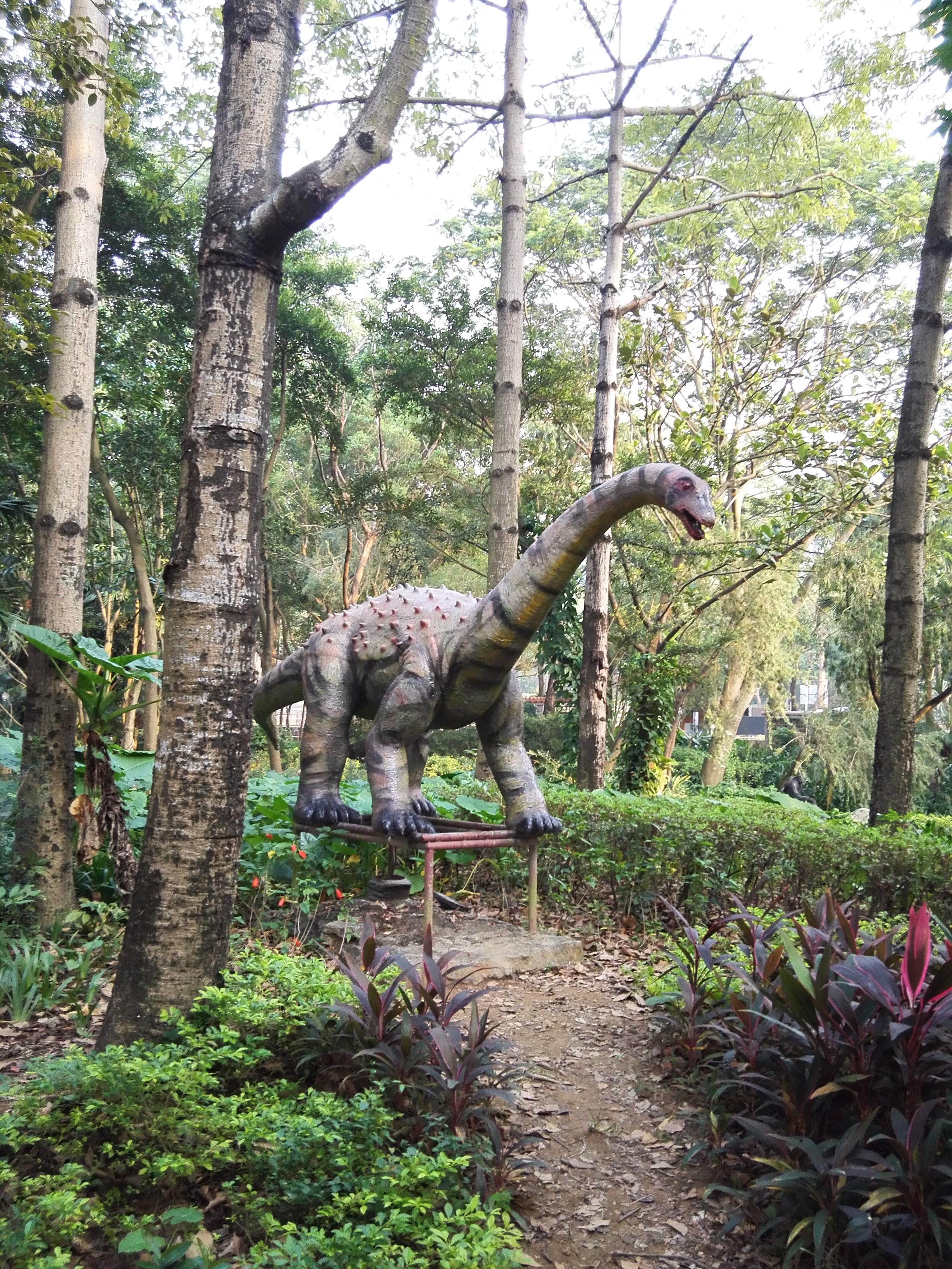 深圳平峦山公园,深圳宝安平瑾山公园图片大全