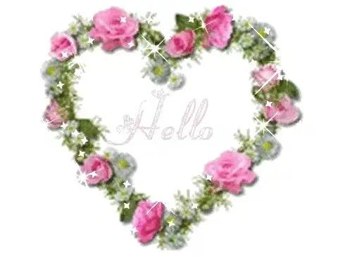 520送你最美的玫瑰花,520把最美的祝福送给幸福的你