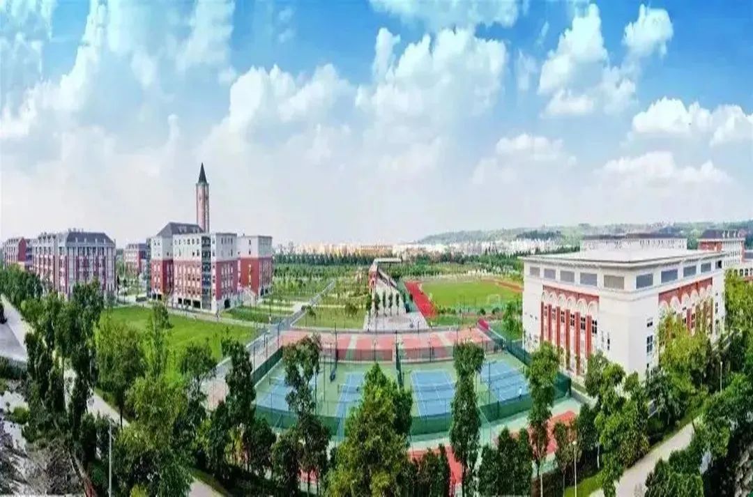 新津最繁华商业街,新津最美街道