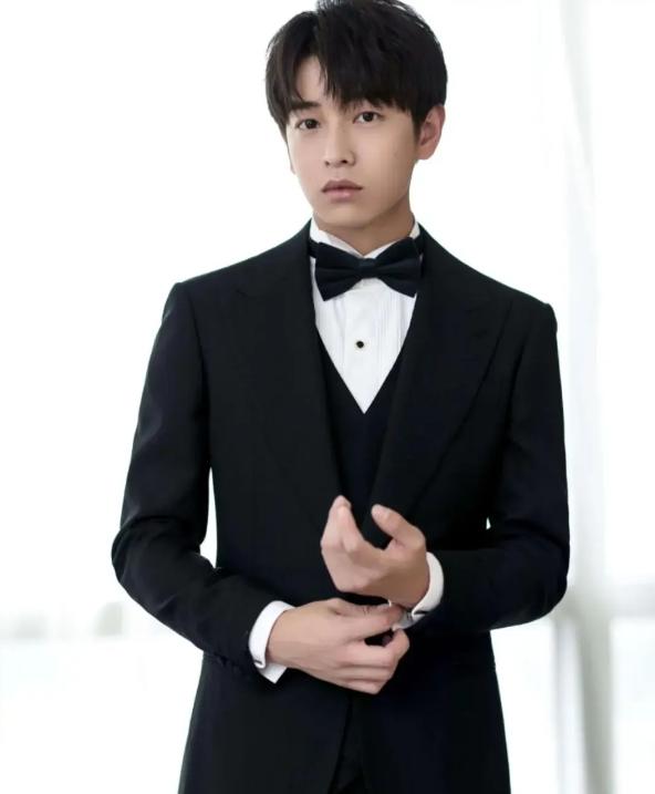 十位穿西装的男明星你最喜欢谁,穿西装很帅的一个男的