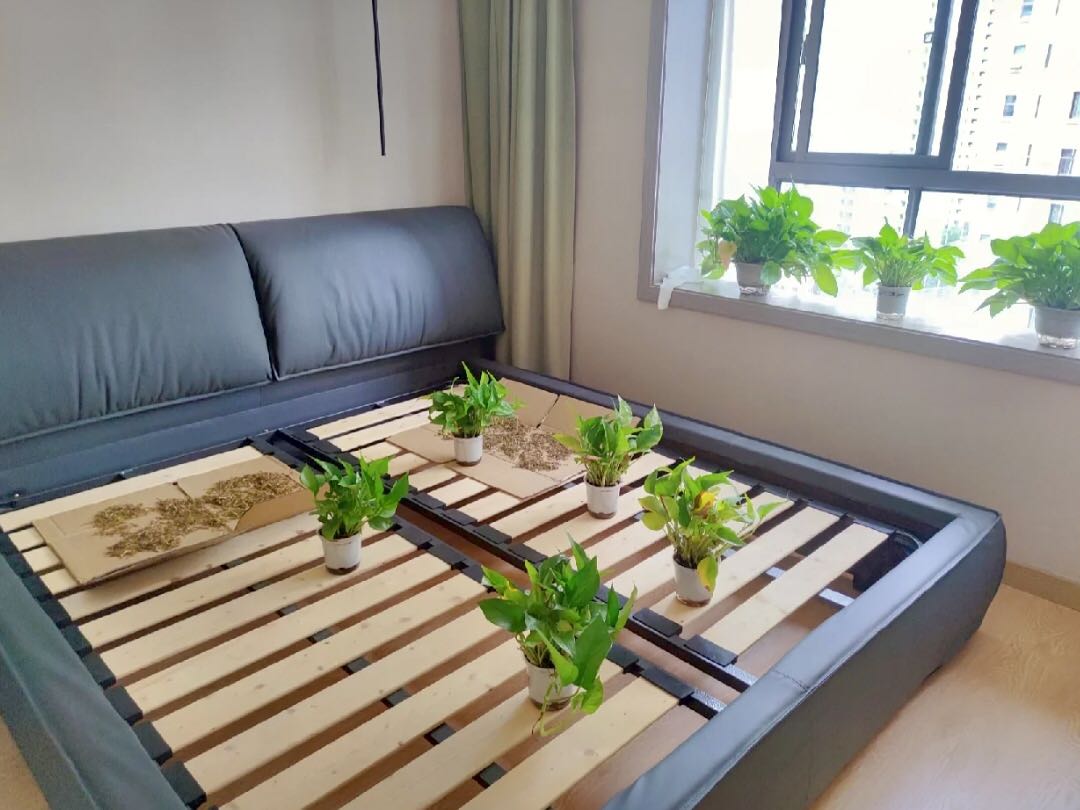 室内去异味除甲醛法宝,除甲醛异味产品第一名