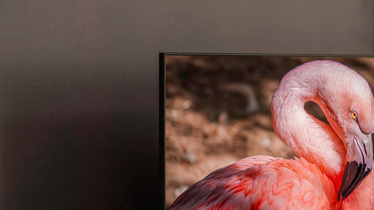 百级背光分区1000nit峰值亮度,百级分区背光和千级肉眼能分辨吗