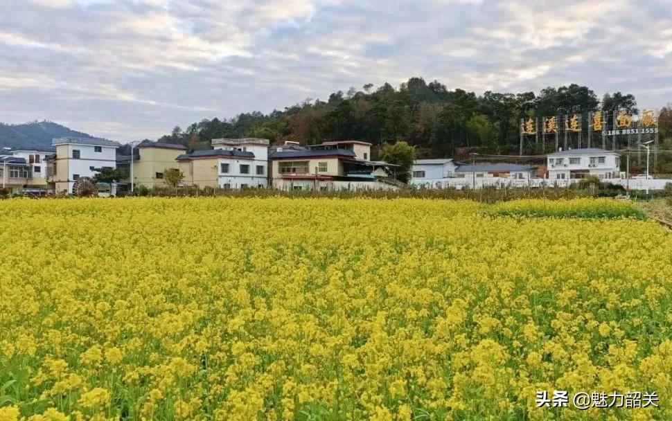 翁源江尾镇年味,翁源兰韵飘香