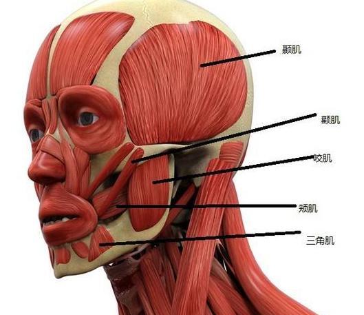 魅力大揭秘：丰发之美如何改变你的形象？
