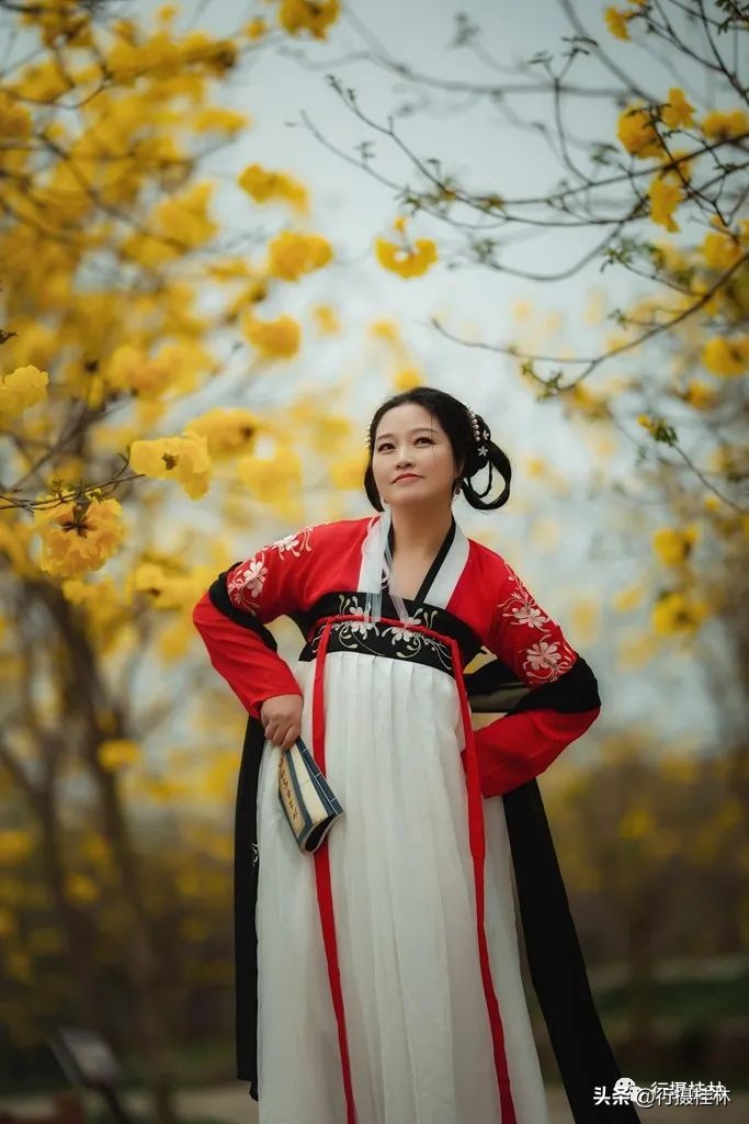 花仙子风铃,风铃花仙子