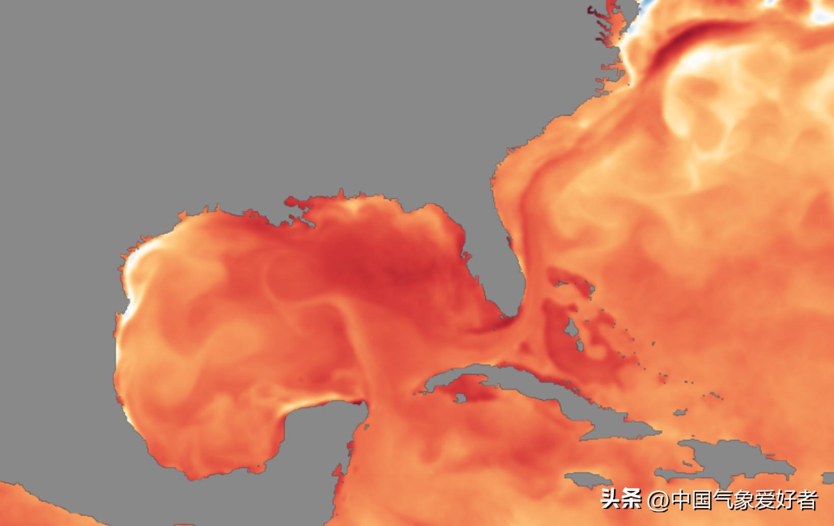 大范围烫水包围美国南部，海洋得了白化病？分析：危害或全球性
