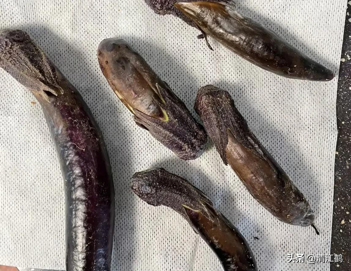 茄子买什么样的好,茄子到底能不能买