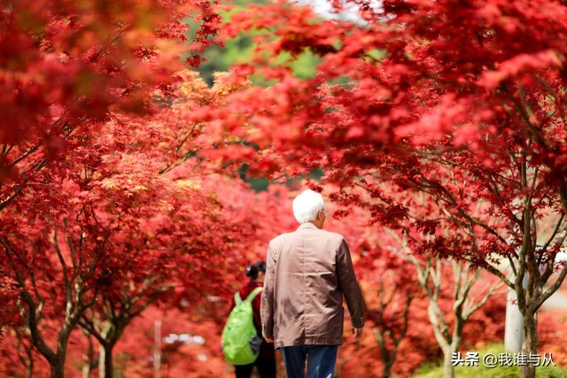 外人在自己家老宅去世好吗,老人在家里去世对房子有什么影响