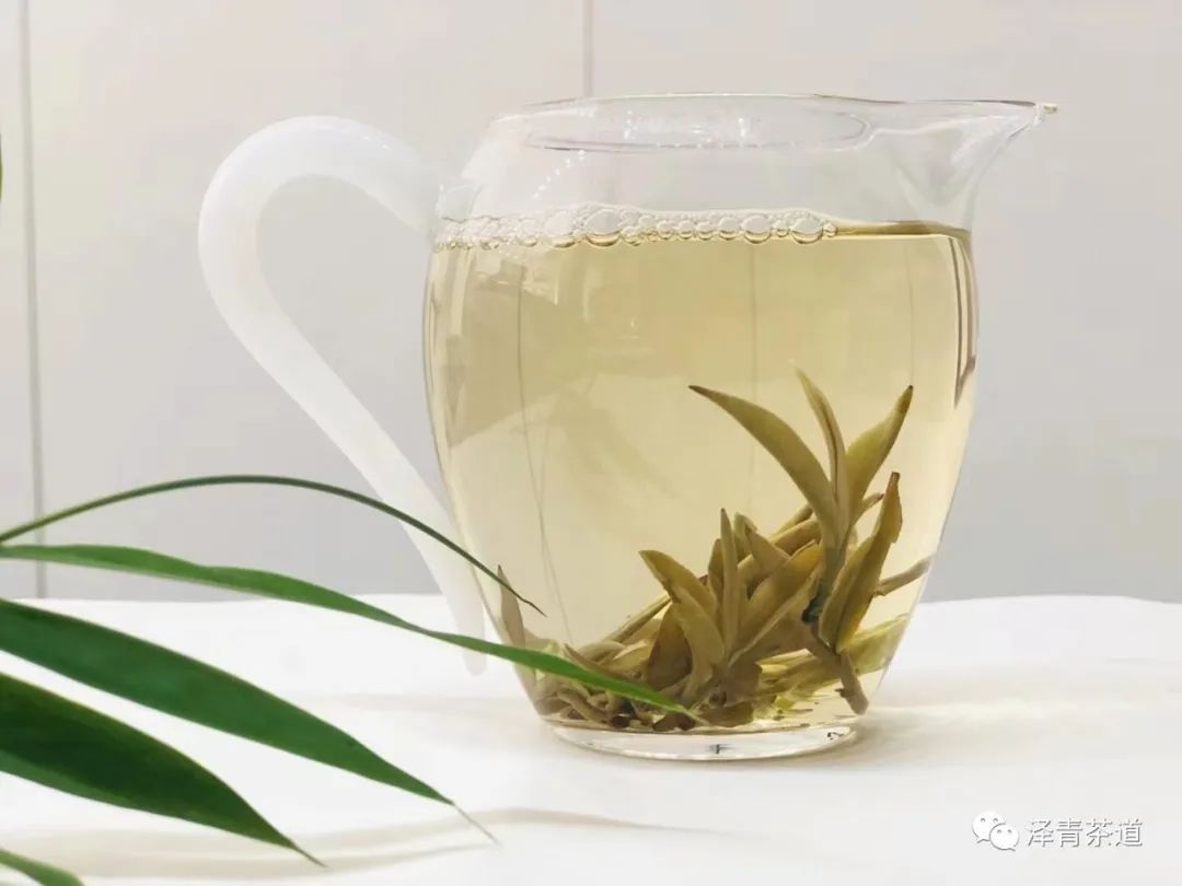 普洱茶各大山头的特性和口感图文,普洱茶老茶头的口感特点有哪些