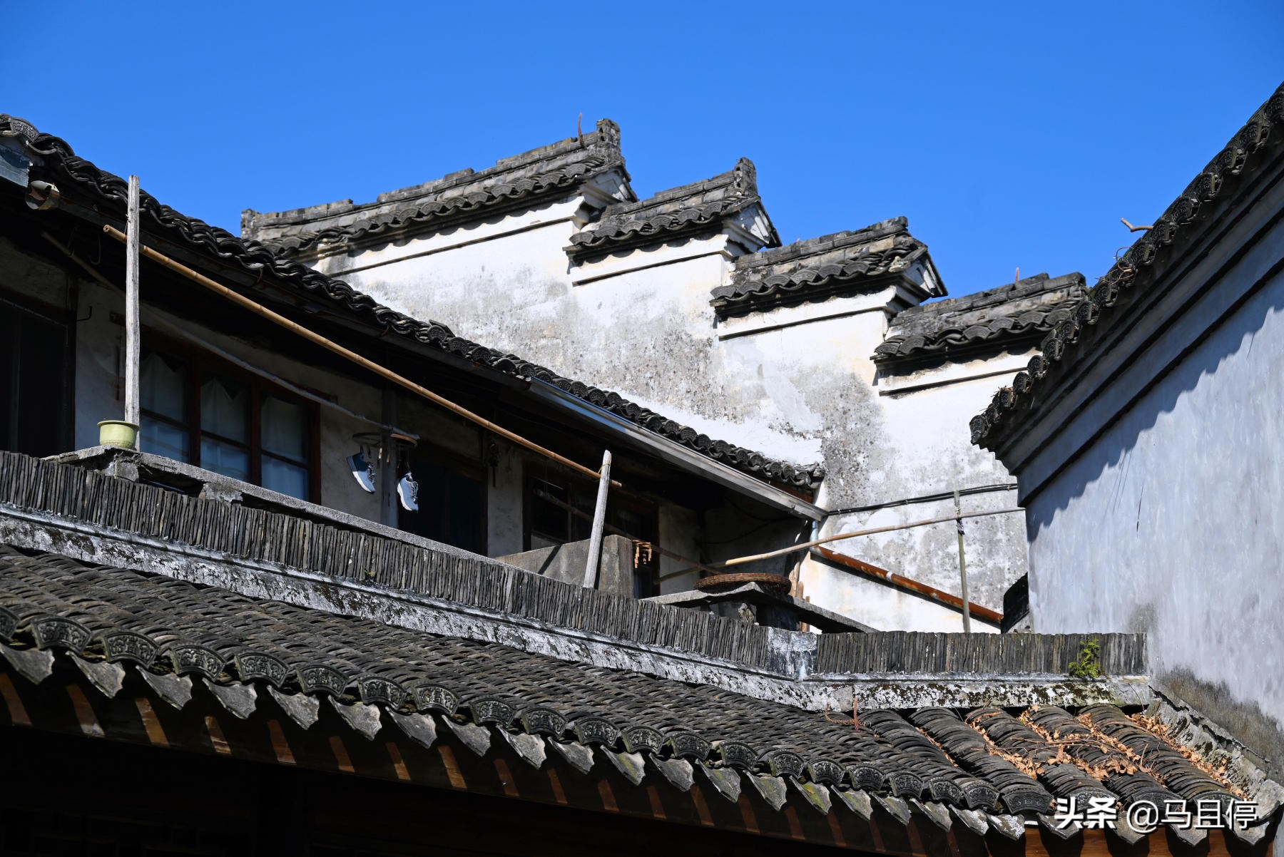 浙江慈溪鸣鹤古镇周边景点介绍,浙江鸣鹤古镇和鹤鸣古镇哪个好玩