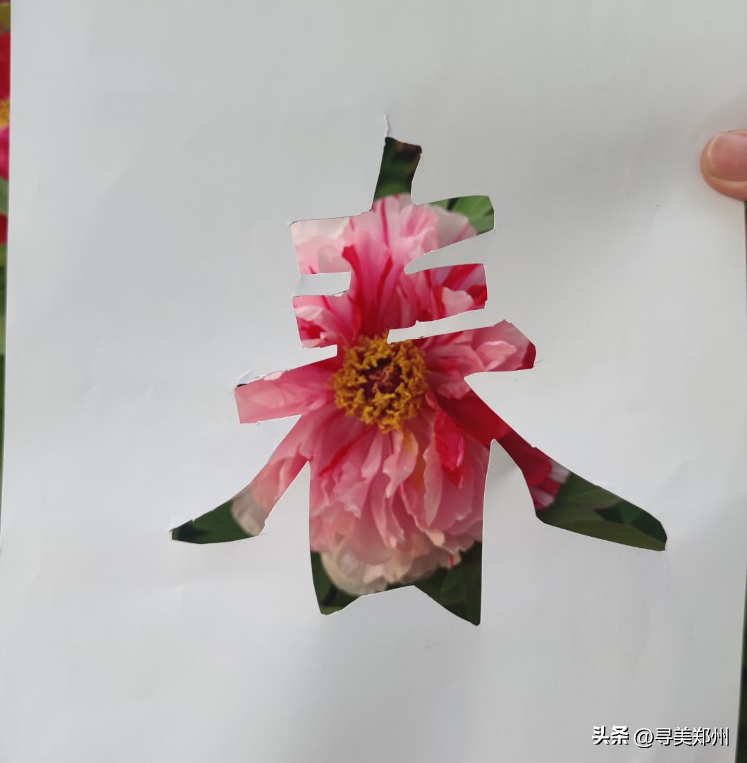 河南科技大学春景,河南科技职业大学校园春景