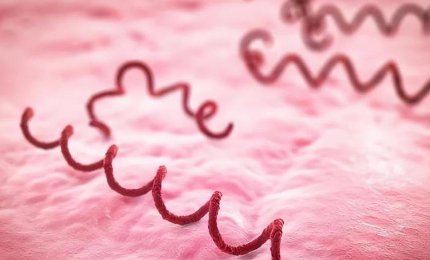 潜伏期梅毒能彻底治好吗,潜伏期的梅毒能治愈吗