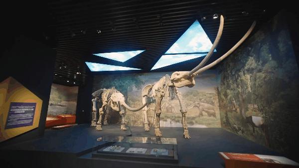 重庆自然资源科普馆要门票不,重庆自然资源科普馆一共几个馆