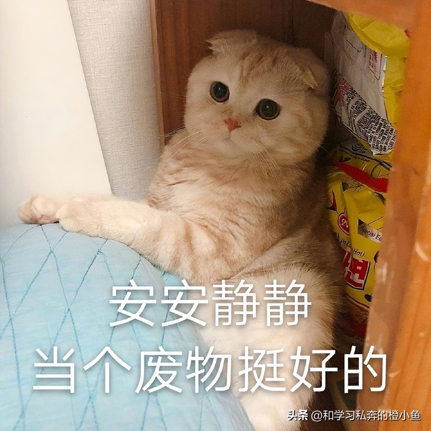 真实面试还原案例,小学教师资格证面试试讲真实还原