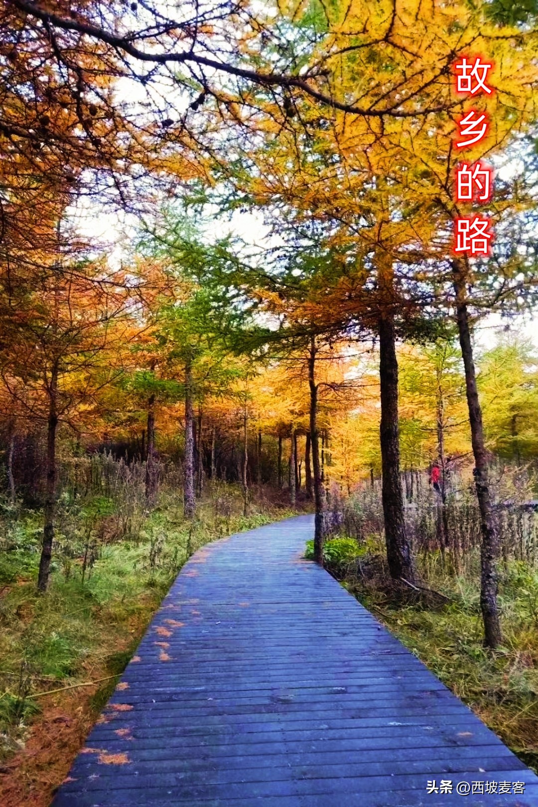 赚钱剧本,走路赚钱剧本