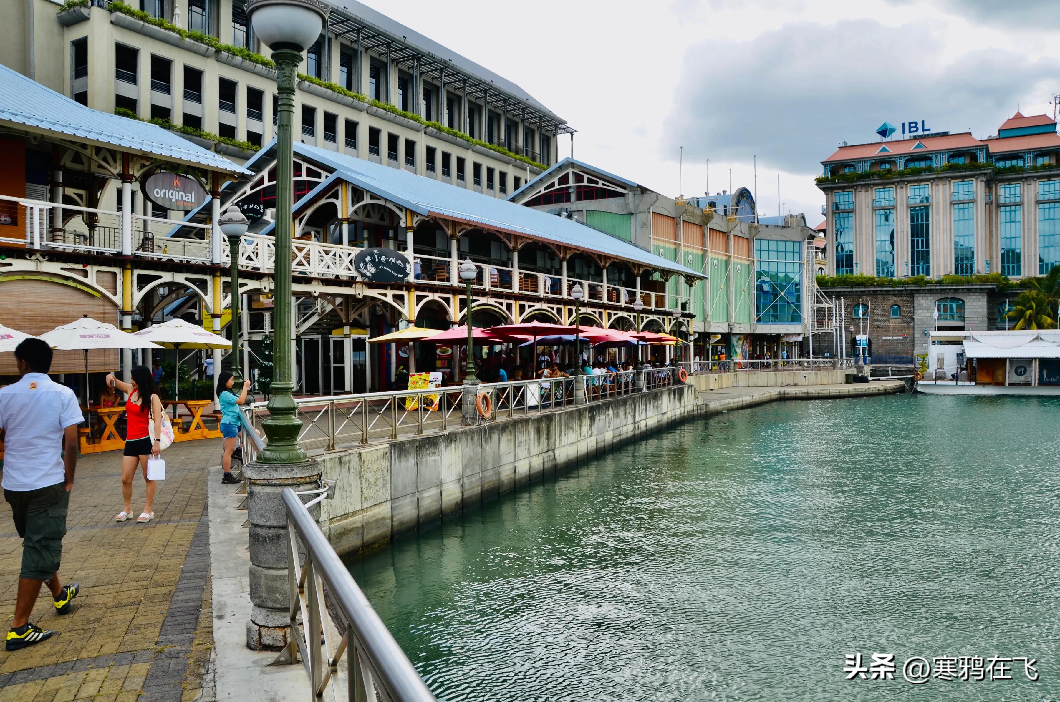 毛里求斯鹦鹉灭绝时间,毛里求斯有许多渡渡鸟吗