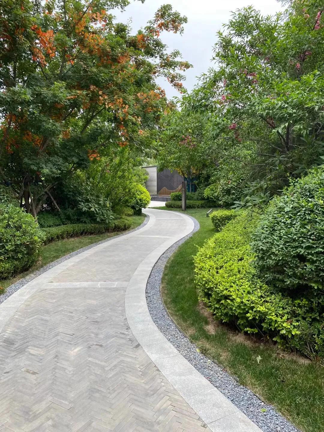 卖茶叶的都是满满的套路,卖茶叶的技巧和套路有哪些