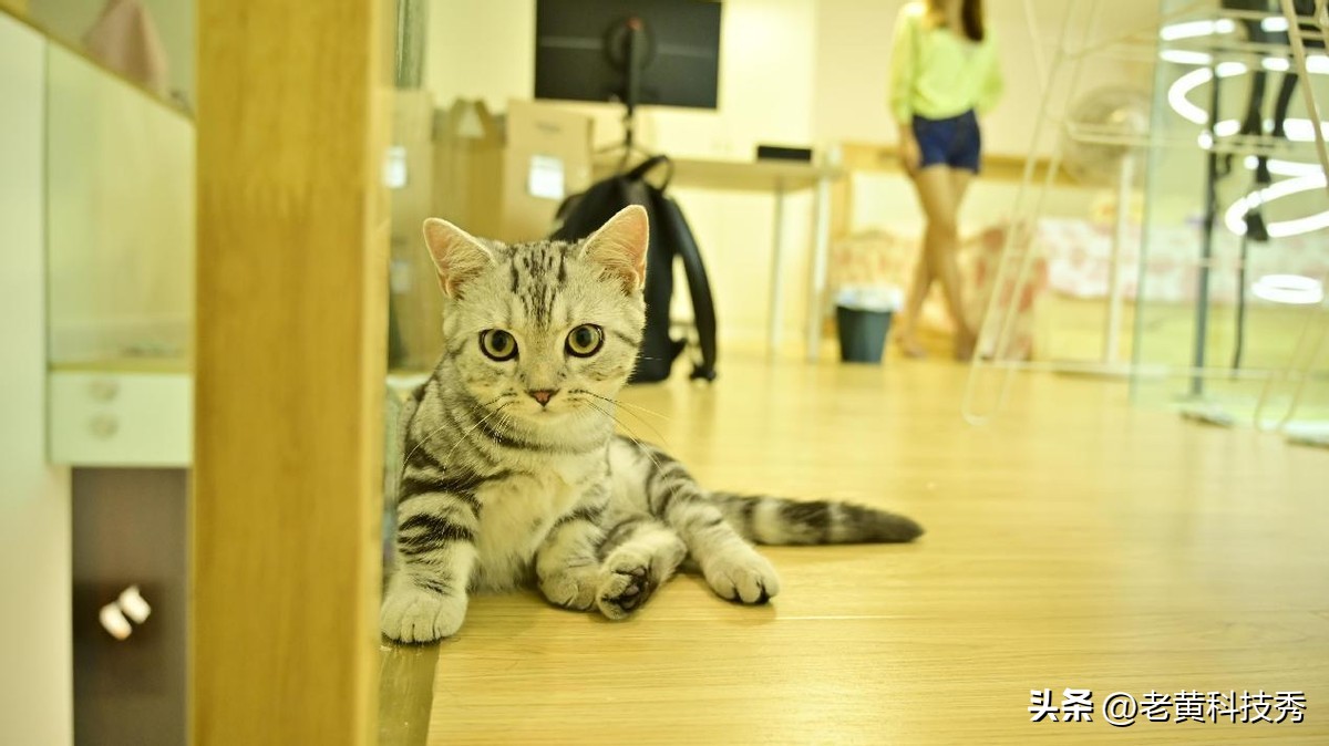 8000的电脑全套,8000电脑全套