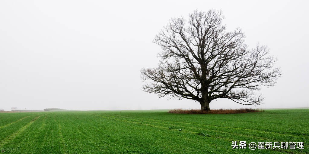 人生要经历两次破产,人生的最大破产是什么
