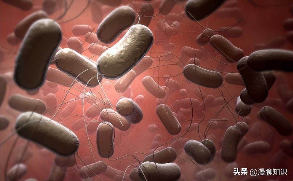 沙门氏杆菌遇高温能消灭吗,沙门氏菌对营养要求高吗