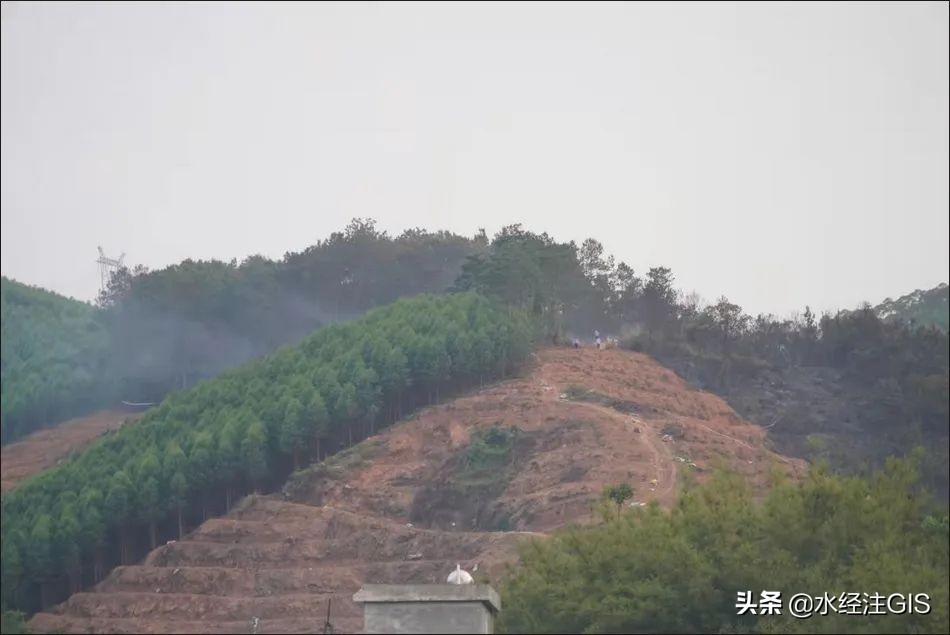 广西东航mu5735航班坠毁事故原因,东航mu5735梧州客机空难搜救现场