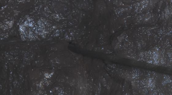 新春走基层开门红,新春走基层抢修油井夺取高产