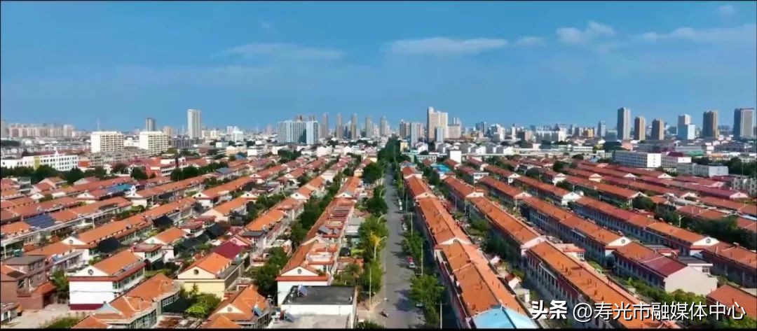 寿光大棚致富项目,寿光新农业项目