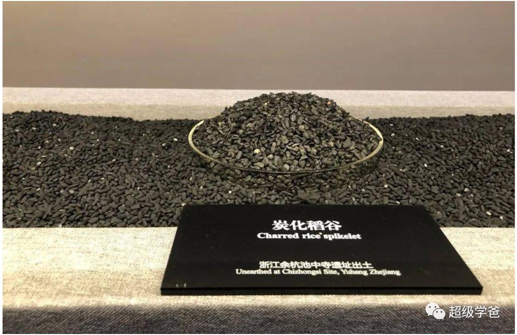 天灾与*祸人**，永远是我们的敌人